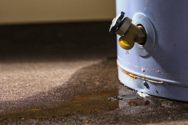 Best Flooded house restoration  in Midlothian, VA