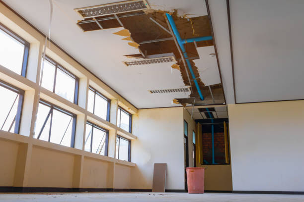 Best Water damage mitigation services  in Midlothian, VA