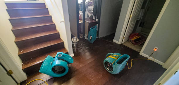 Best Water damage contractors near me  in Midlothian, VA