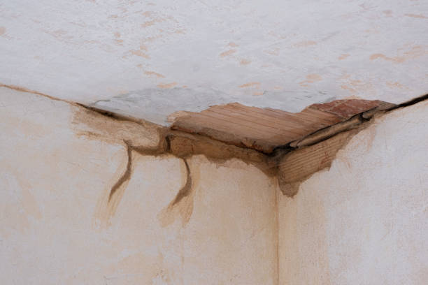 Best Mold removal after water damage  in Midlothian, VA