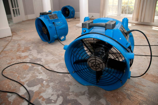Best Flood restoration services  in Midlothian, VA
