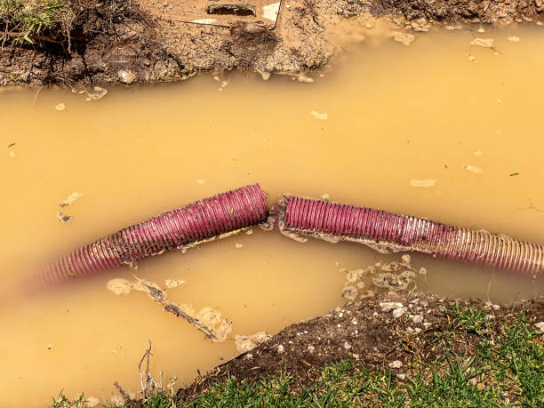 Best Water damage restoration near me  in Midlothian, VA