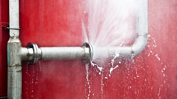 Best Professional water damage repair  in Midlothian, VA