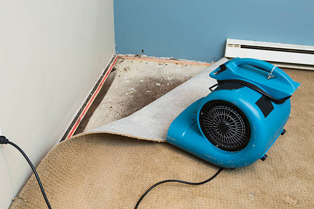 Best Water damage mitigation services  in Midlothian, VA